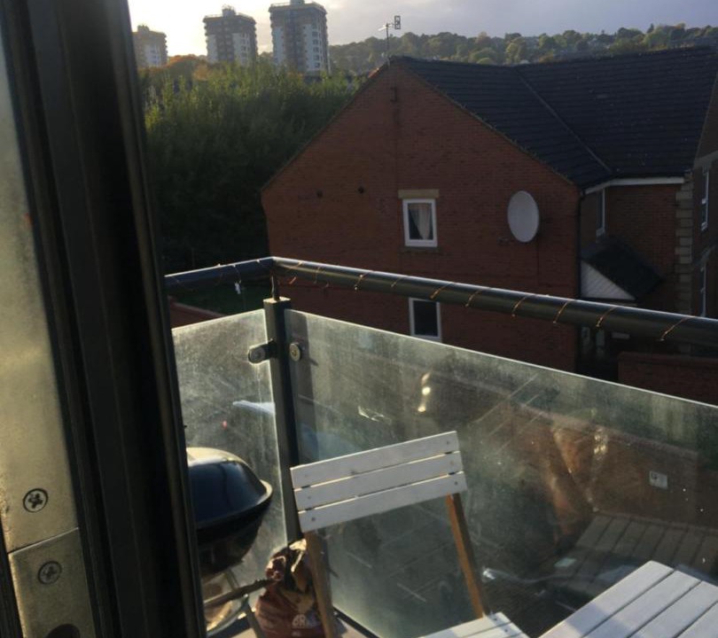 Photo of Others in Sheffield