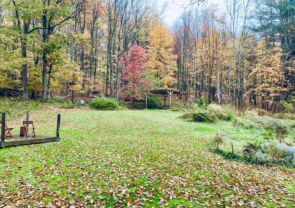 Photo of Others in Livingston Manor