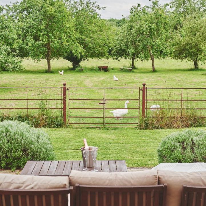 Photo of Others in Beckford