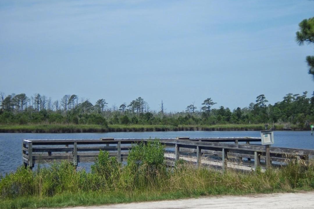 Photo of Others in New Bern