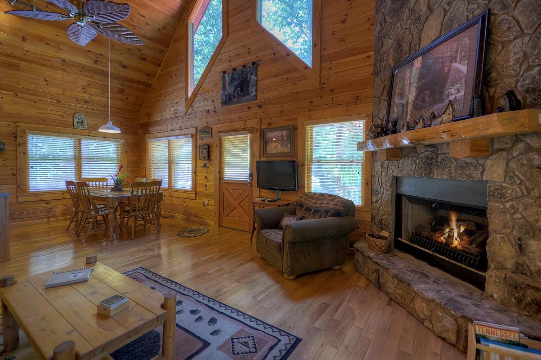 Photo of Livingroom in McCaysville