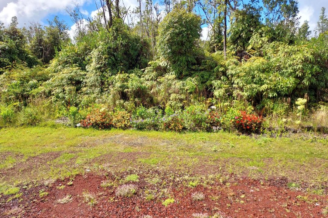 Photo of Outdoor in Mountain View