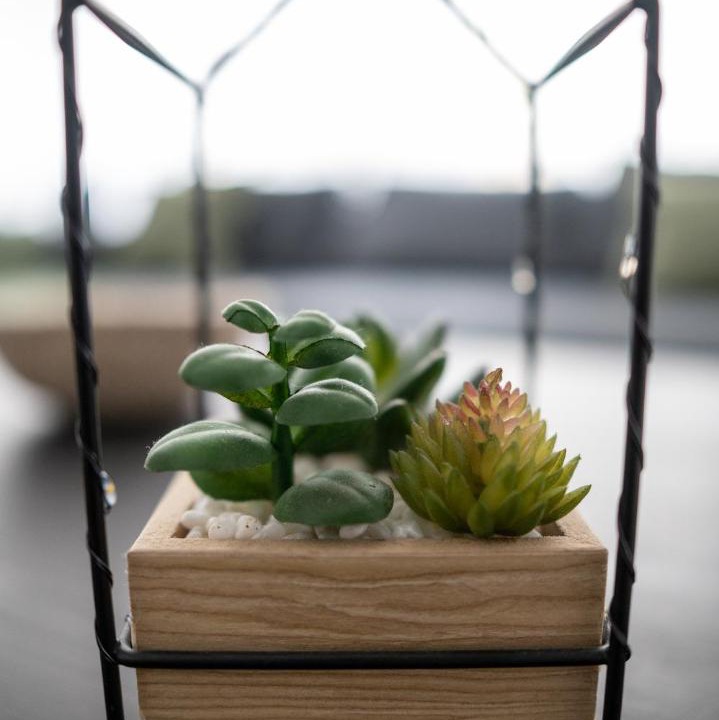 Photo of Others in Dinan