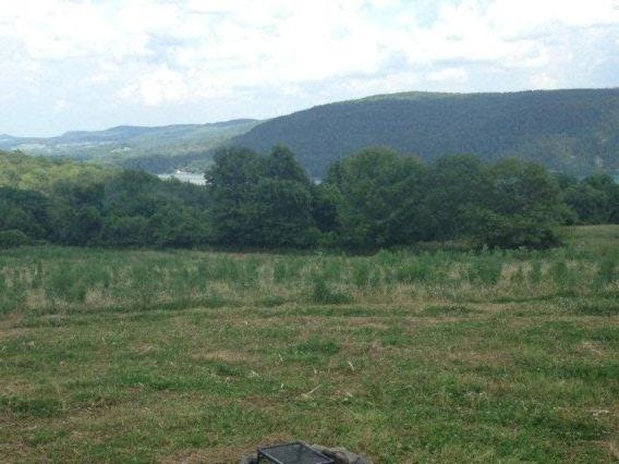Photo of Others in Cooperstown