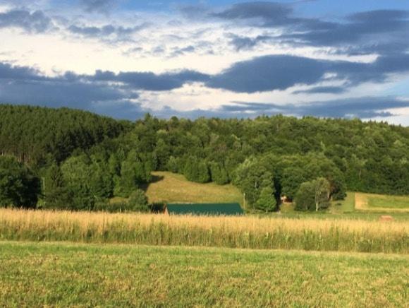 Photo of Others in Cooperstown