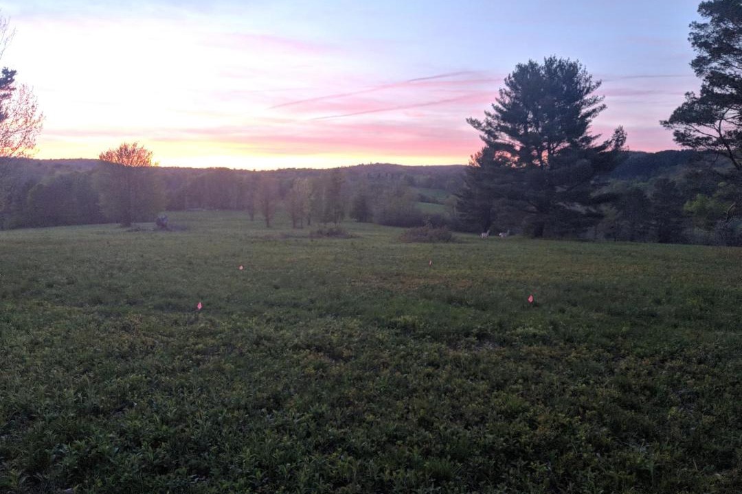 Photo of Others in Cooperstown