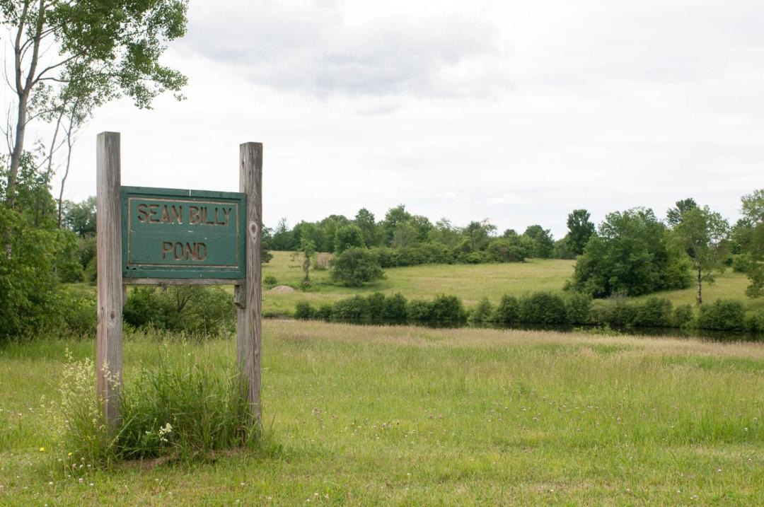 Photo of Others in Cooperstown