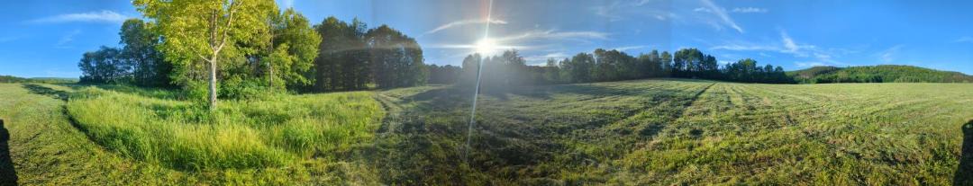 Photo of Others in Cooperstown