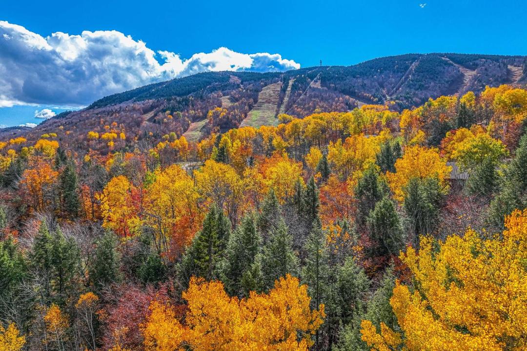 Photo of Others in Sunday River Area