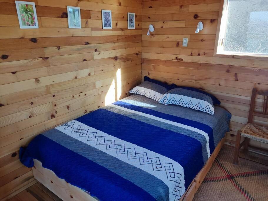 Photo of Bedroom in Maneadero