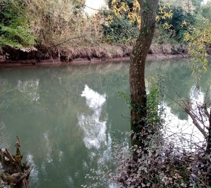 Photo of Outdoor in Attin