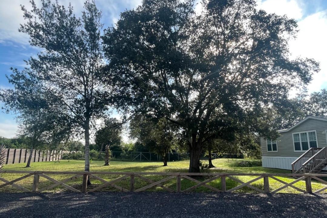 Photo of Others in Clewiston