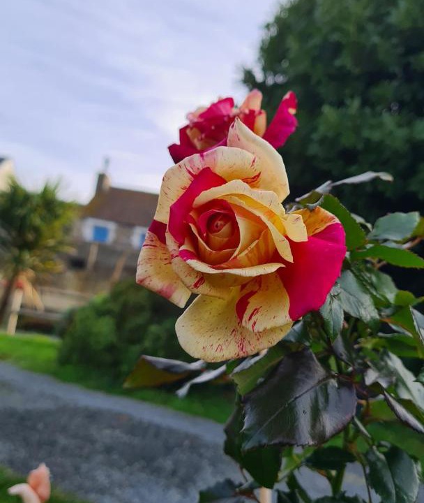 Photo of Outdoor in Blainville-sur-Mer