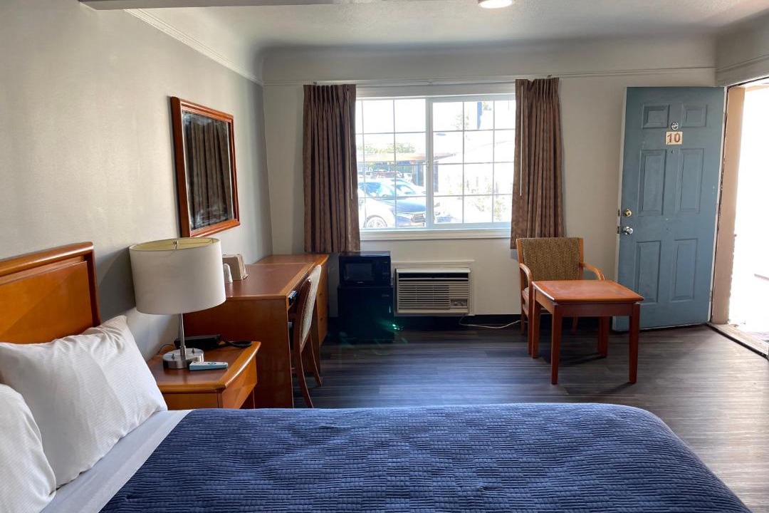 Photo of Others in Sunderland