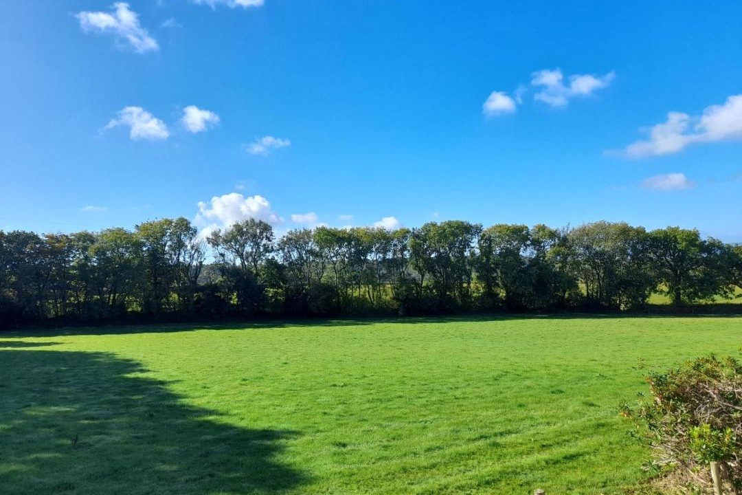 Photo of Others in Hawkchurch