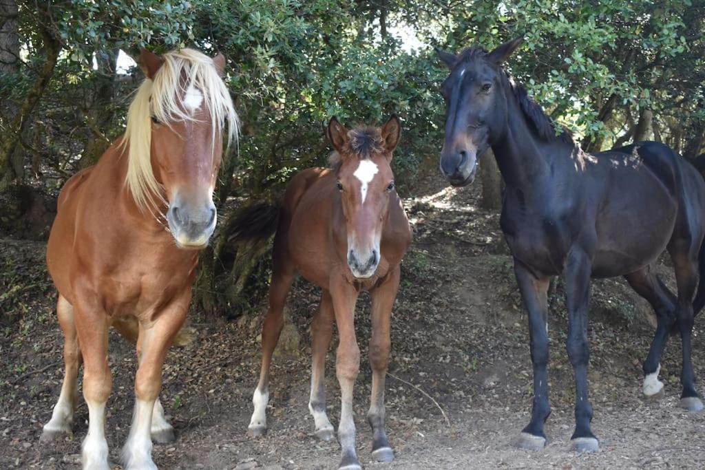 Photo of Others in Villefloure