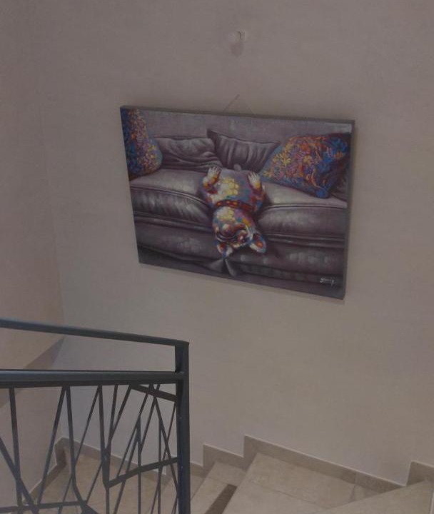 Photo of Others in Canohes