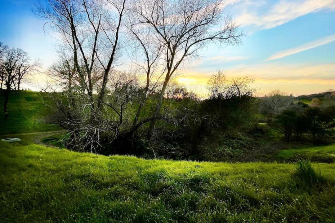 Photo of Outdoor in Roseville