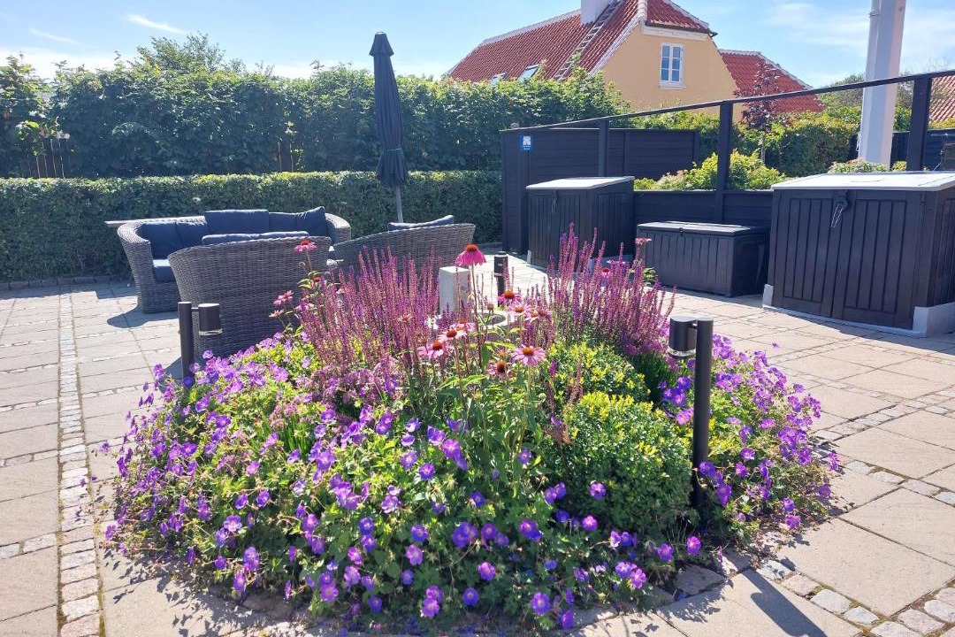 Photo of Others in Skagen