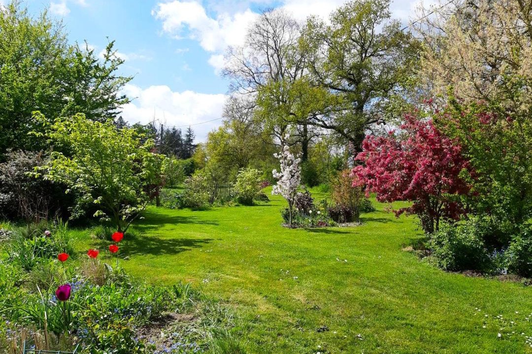 Photo of Outdoor in Nueil-les-Aubiers