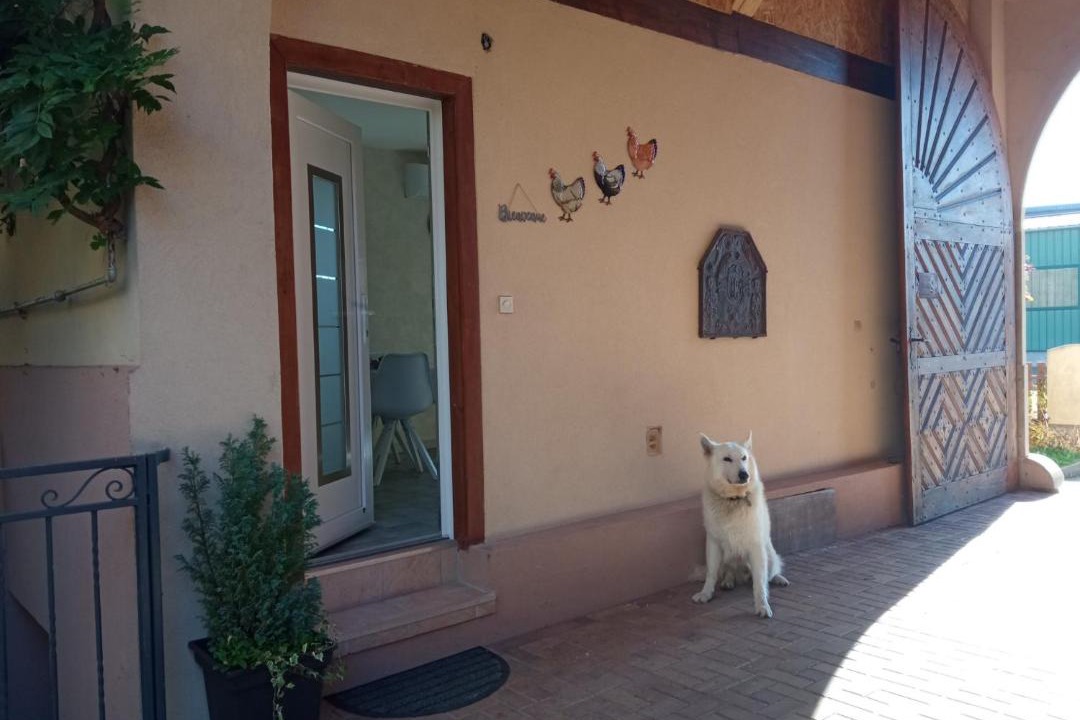 Photo of Others in Zellwiller