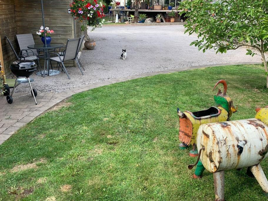 Photo of Human In Picture in Pilning