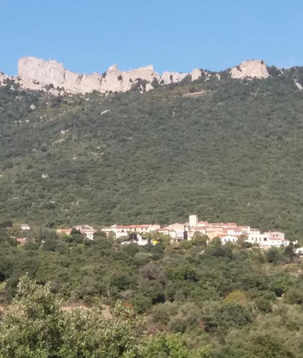 Photo of Others in Duilhac-sous-Peyrepertuse