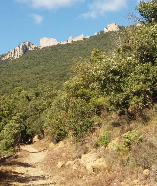 Photo of Others in Duilhac-sous-Peyrepertuse