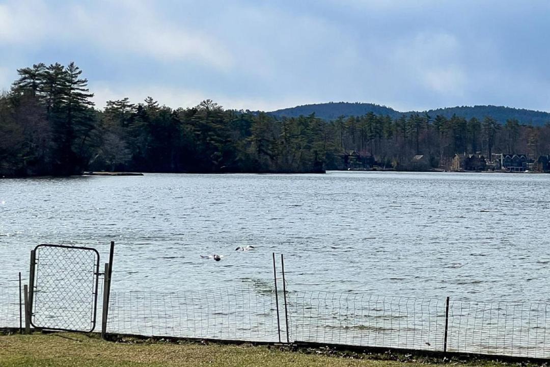 Photo of Others in Moultonborough