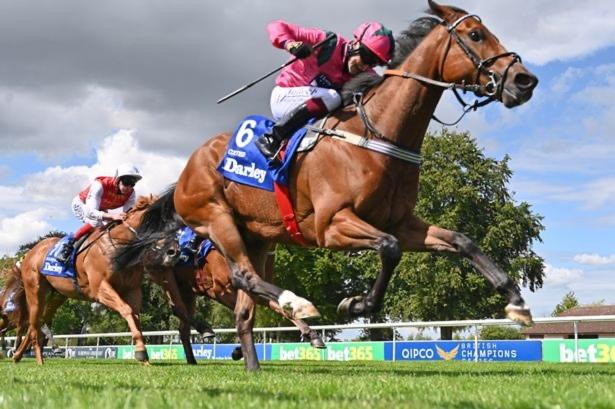 Photo of Human In Picture in Mildenhall