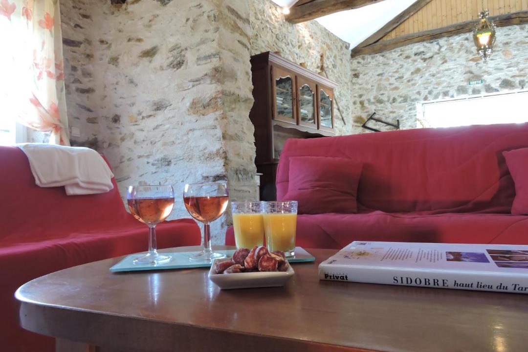 Photo of Livingroom in Montredon-Labessonnie