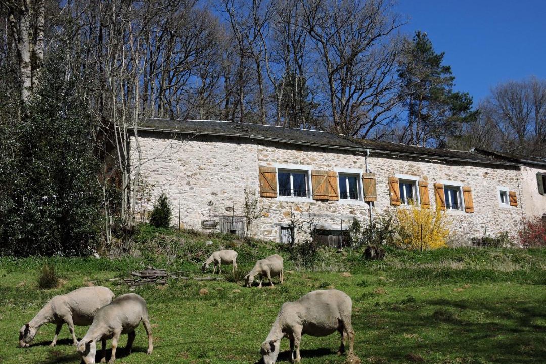 Photo of Buildings in Montredon-Labessonnie