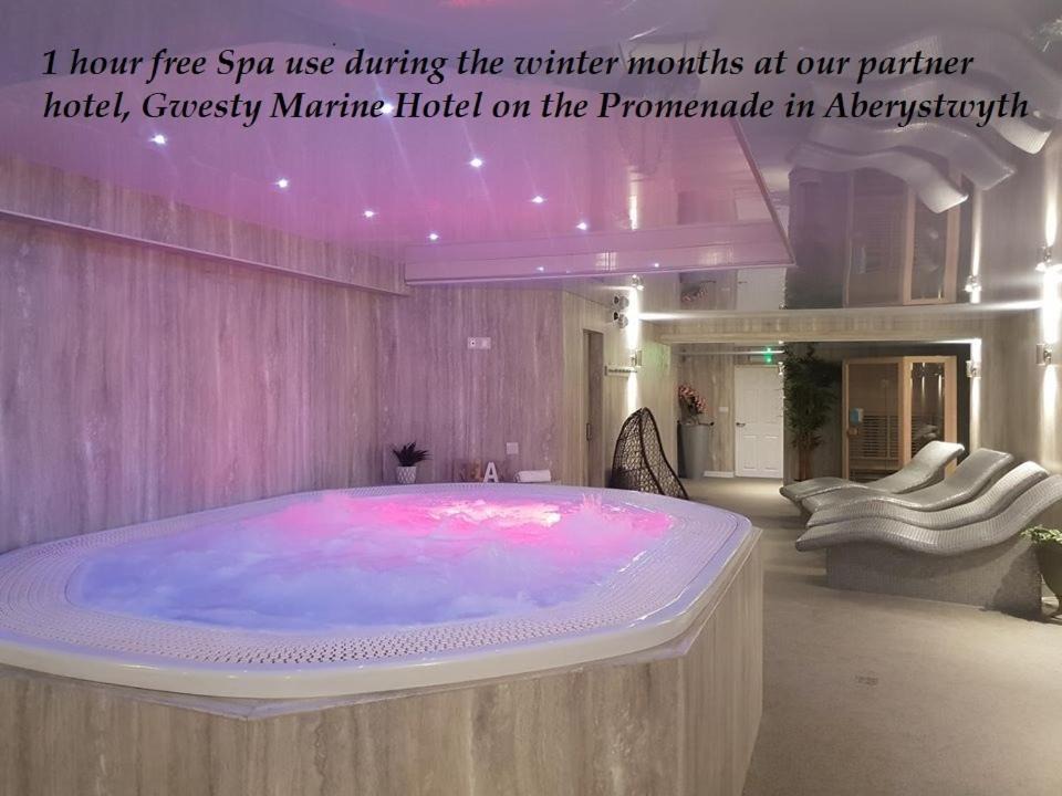 Photo of Others in Aberystwyth