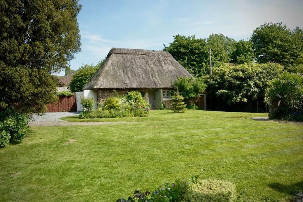 Photo of Buildings in Ash