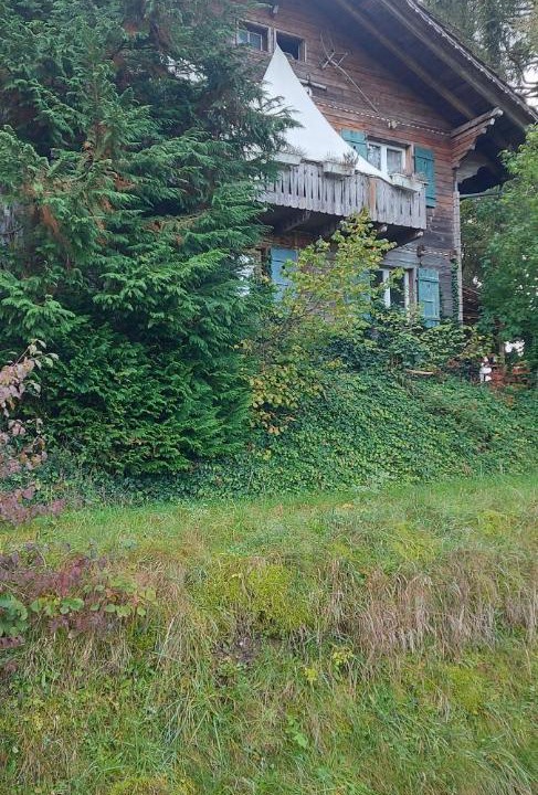 Photo of Others in Liebistorf