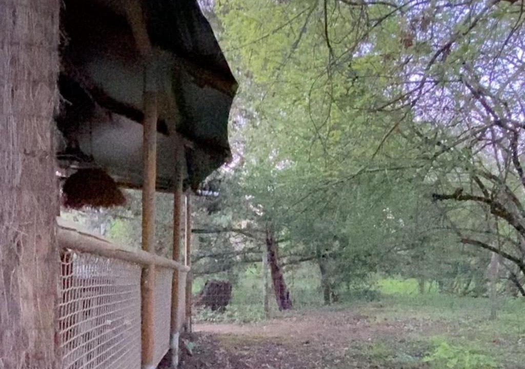 Photo of Others in Treigny