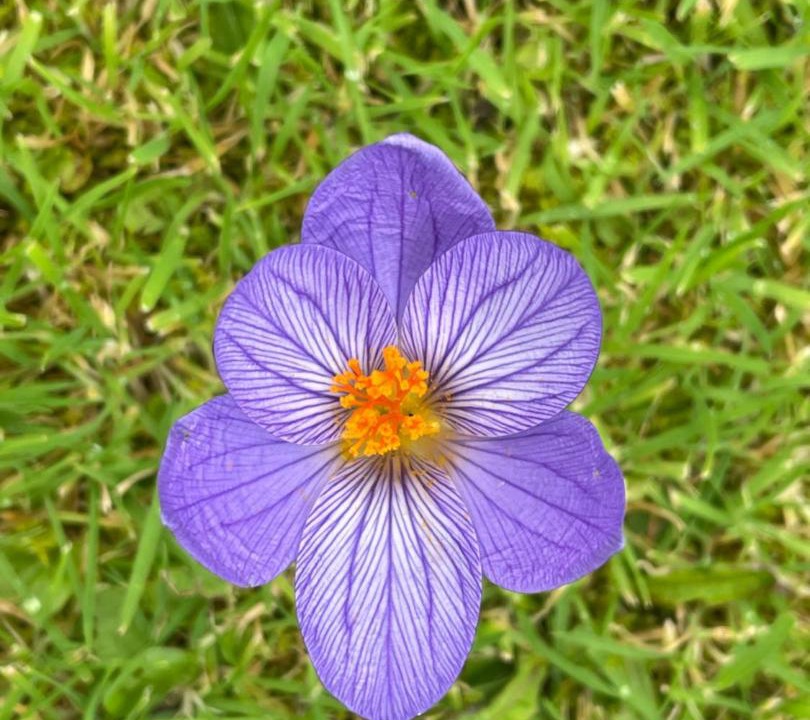 Photo of Others in Kippen