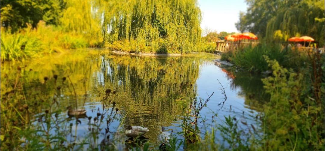 Photo of Others in Broadheath