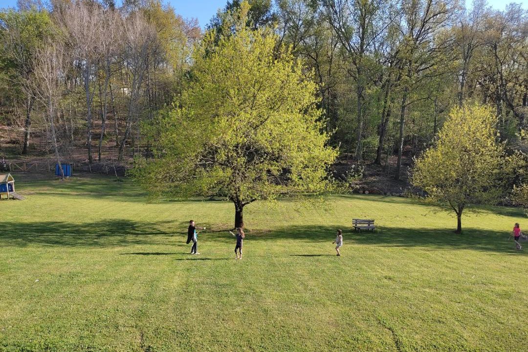 Photo of Others in Catus