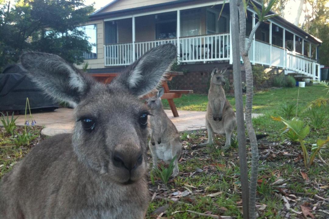 Photo of Buildings in Erowal Bay