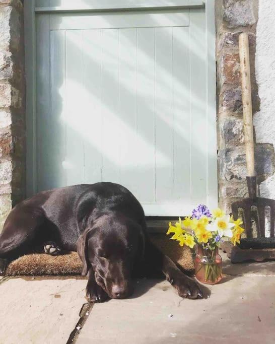 Photo of Others in Winscombe