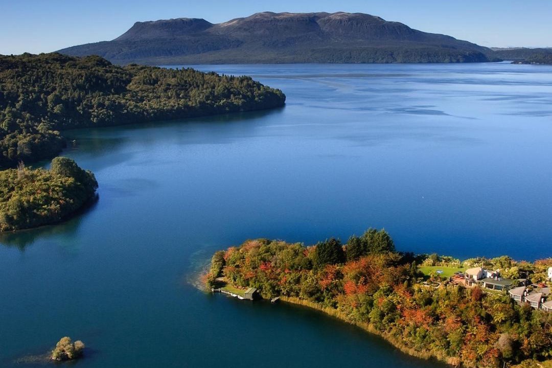 Photo of Others in Lake Tarawera