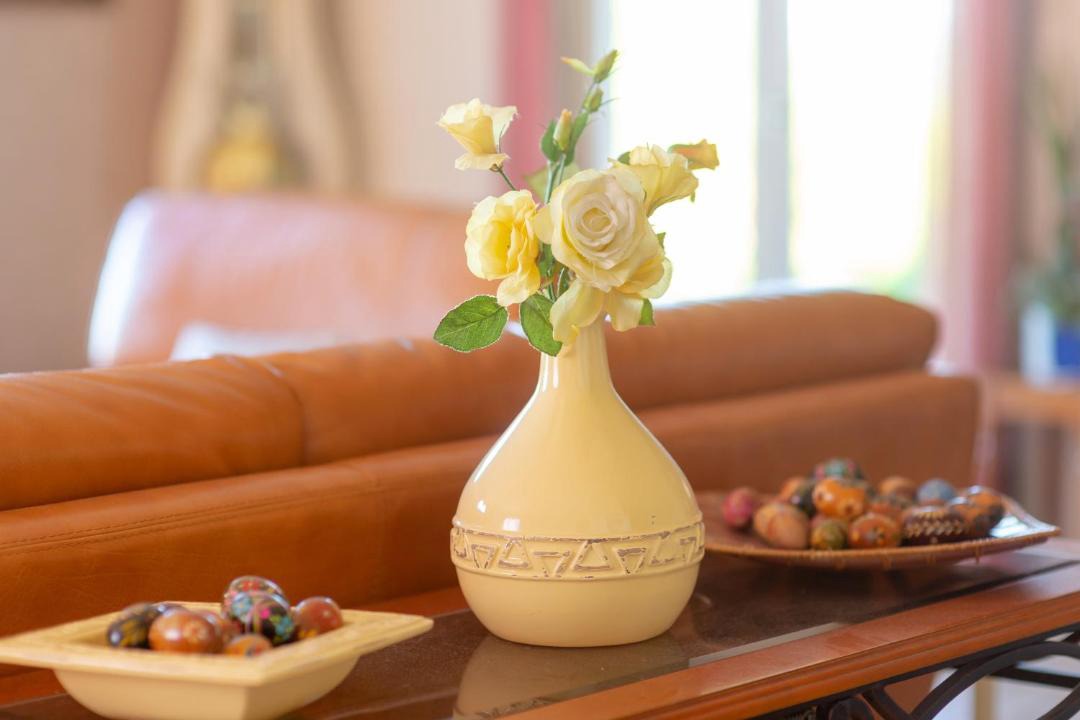 Photo of Others in Verthemex