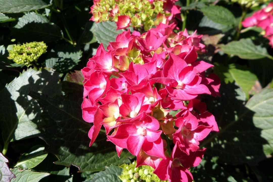 Photo of Outdoor in Sommervieu