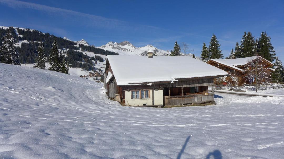 Photo of Others in Adelboden