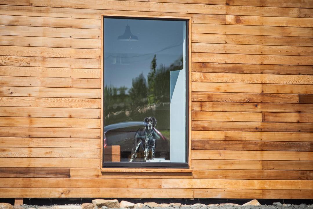 Photo of Others in Tarset