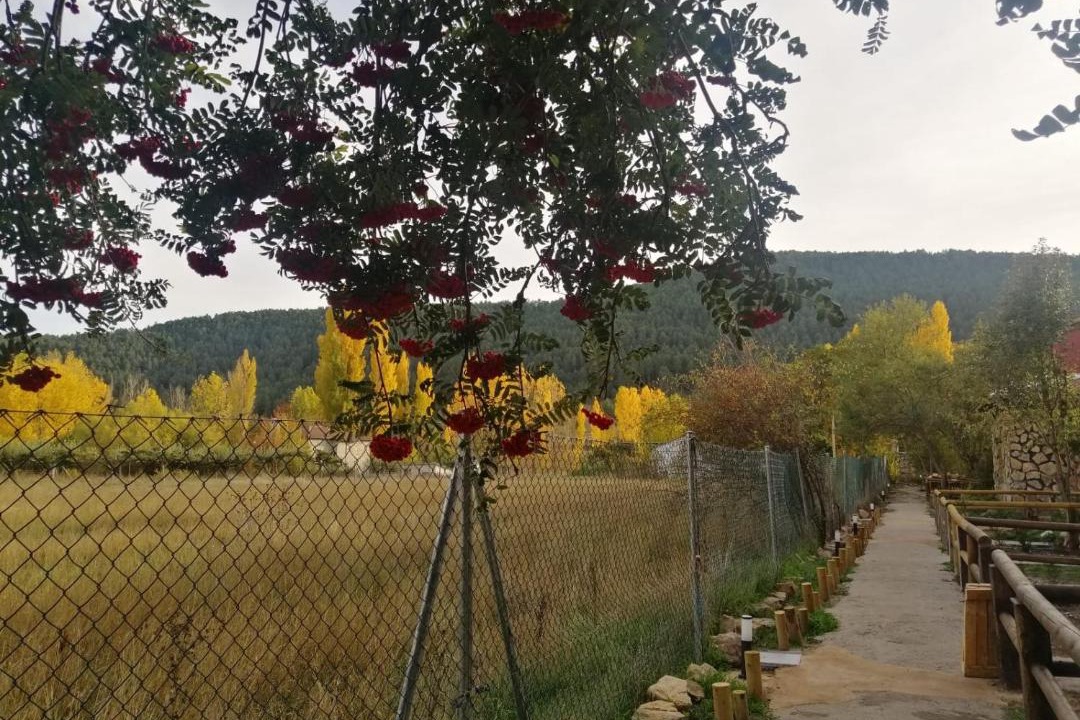 Photo of Others in Vega del Codorno