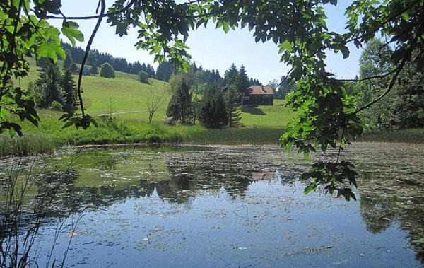 Photo of Outdoor in Appenzell