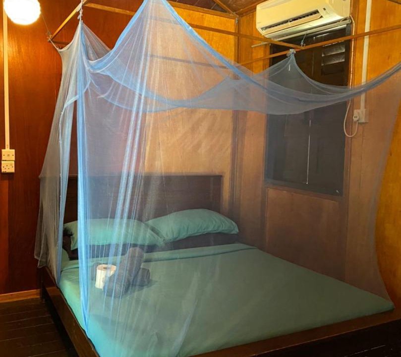 Photo of Others in Tekek