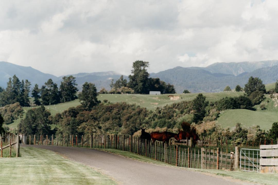 Photo of Others in Apiti